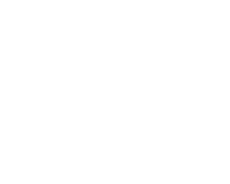 Best SEO Expert San Diego