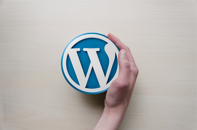 Leveraging WordPress for Success