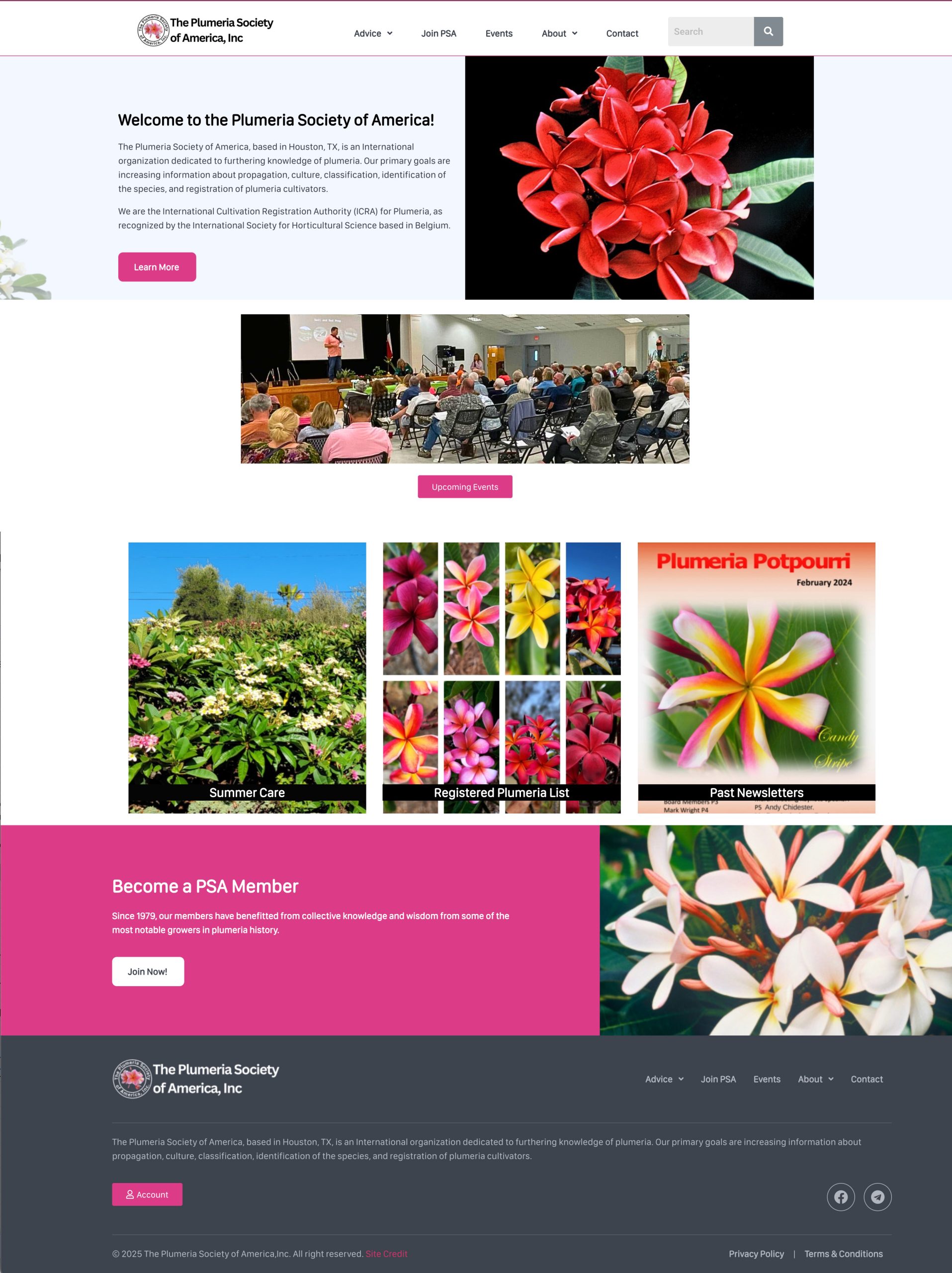 Wordpress Website Design by After Dark Grafx for The Plumeria Society of America, Inc.